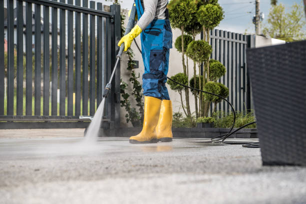 Boat and Dock Cleaning in Bristol, TN